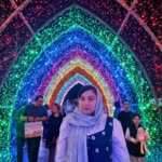 Hanieh.B