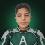 AmirMohammad.M
