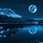 MohammadMahdi.R