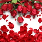 AmirHossein.H