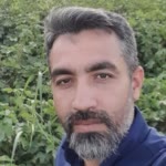 Mohsen.A