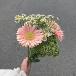 Reyhaneh.M