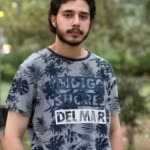 AmirHossein.P