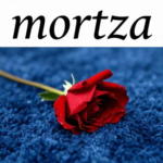 MortezaAli.T