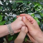 Nasrin.N