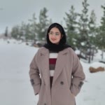 Nazaninzahra.A