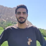 Meysam.N