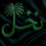 AmirAli.A