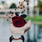 Maryam.A