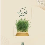 MohammadErfan.M
